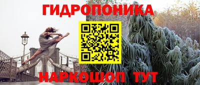 индика Краснодар