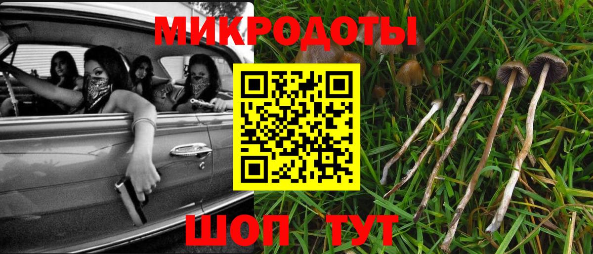 наркошоп  Вход с VPN  Гусиноозёрск  Галлюциногенные грибы Psilocybe  Галлюциногенные грибы прущие грибы 