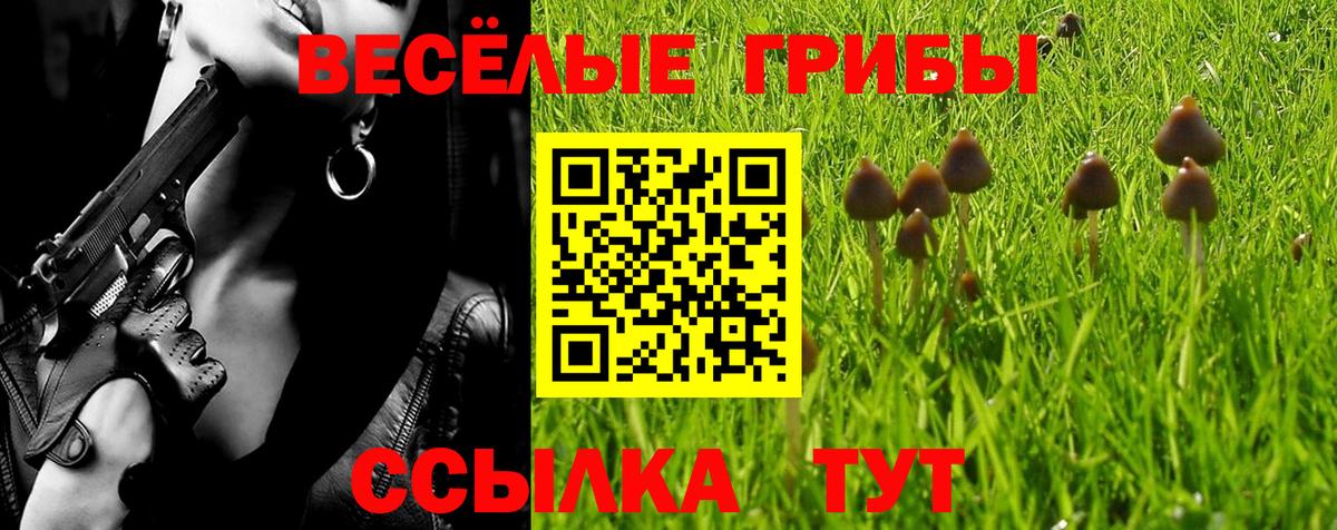 Псилоцибиновые грибы мицелий Гусиноозёрск